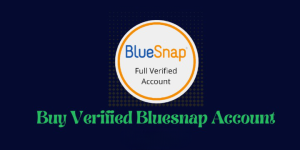 Buy Bluesnap Account