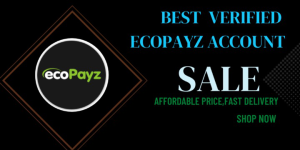 Buy Verified Ecopayz Accounts