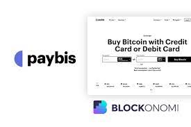  Using Paybis Account for International Money Transfers Pros and Cons